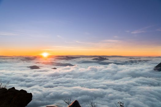 sunrise and sea of fog view on phu chi fa mountain area and national forest park in chiang rai, Thailand.