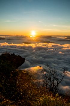 sunrise and sea of fog view on phu chi fa mountain area and national forest park in chiang rai, Thailand.