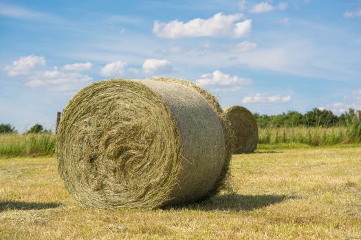 Panoramic image of hay rolls on a meadow against blue sky, agriculture, Germany