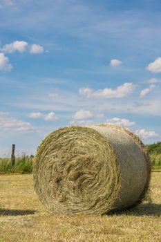 Panoramic image of hay rolls on a meadow against blue sky, agriculture, Germany