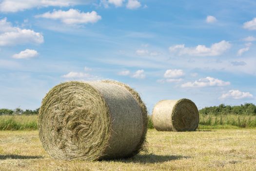 Panoramic image of hay rolls on a meadow against blue sky, agriculture, Germany