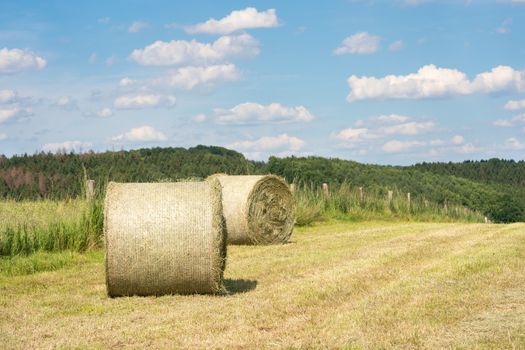 Panoramic image of hay rolls on a meadow against blue sky, agriculture, Germany