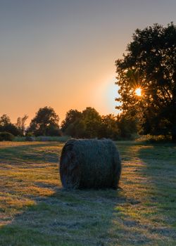 Panoramic image of hay rolls on a meadow against sunset, agriculture, Germany