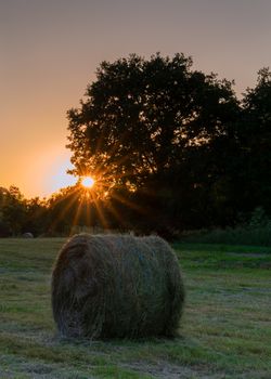 Panoramic image of hay rolls on a meadow against sunset, agriculture, Germany