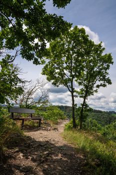 Hiking trail with bench under trees close to Bernkastel, Moselle, Germany