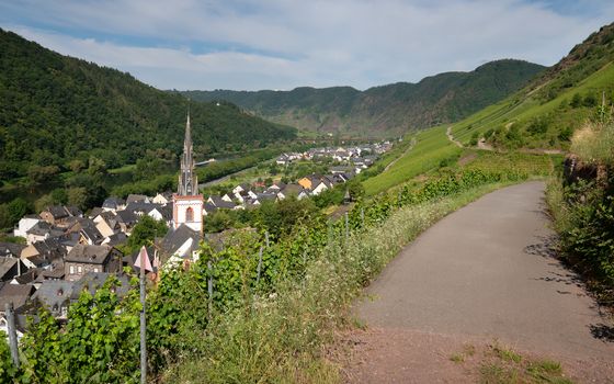 Panoramic image of the village Ediger-Eller within the vineyards close to the Moselle river, Germany