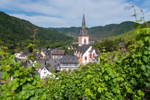 Panoramic image of the village Ediger-Eller within the vineyards close to the Moselle river, Germany