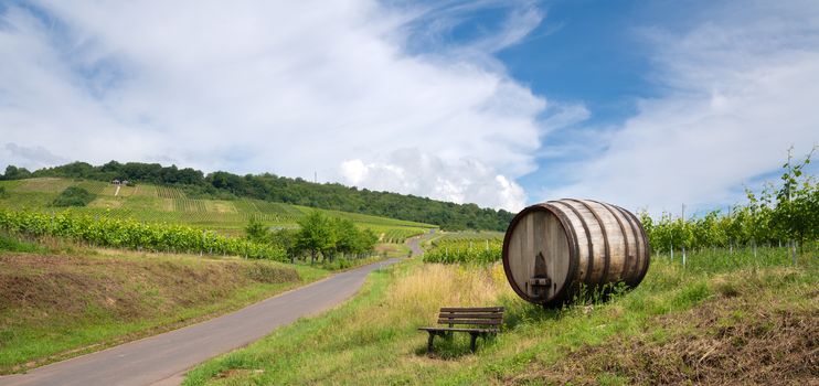 Moselsteig close to Ellenz-Poltersdorf with panoramic landscape, vinyards and a bench in front of a big wooden barrel, Germany