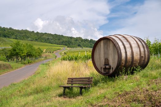 Moselsteig close to Ellenz-Poltersdorf with panoramic landscape, vinyards and a bench in front of a big wooden barrel, Germany
