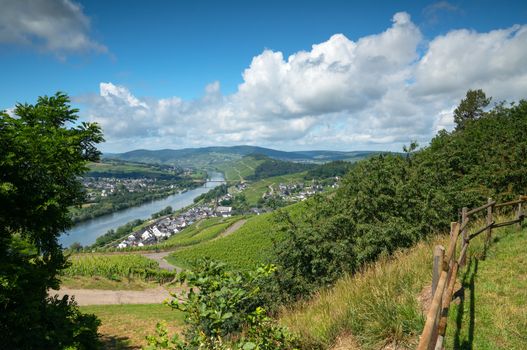 Panoramic landscape with view to the Moselle village Lieser close to Bernkastel, Germany