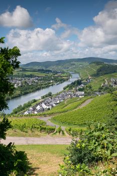 Panoramic landscape with view to the Moselle village Lieser close to Bernkastel, Germany