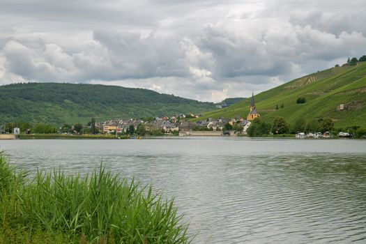 Panoramic view over the Moselle river to the village Zeltingen close to Bernkastel with the vineyards in the backgroud, Germany