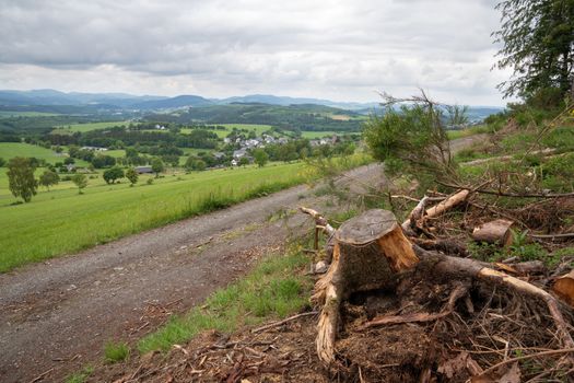 Panoramic image of the landscape close to Winterberg, Sauerland region, Germany