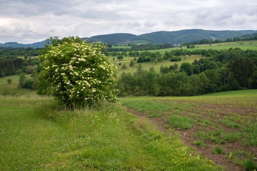 Panoramic image of the landscape close to Winterberg, Sauerland region, Germany