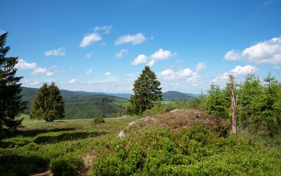 Panoramic landscape of National Park 'Kalte Kirche' close to Schmallenberg, Sauerland, Germany