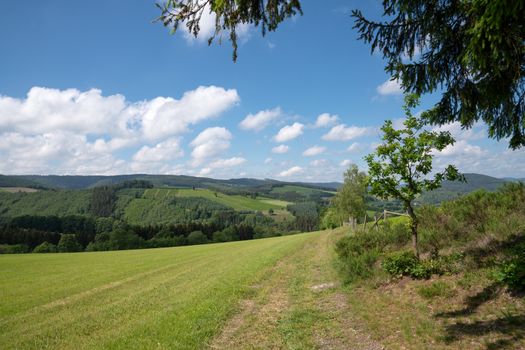 Panoramic image of the Sauerland region close to Winterberg with a small hiking trail through a green meadow, Germany