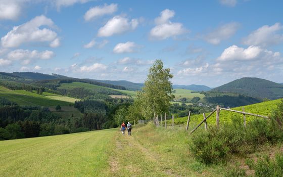 Panoramic image of the Sauerland region close to Winterberg with a small hiking trail through a green meadow, Germany