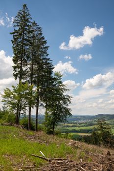 Landscape of the Sauerland region close to Winterberg with trees in the foreground, Germany