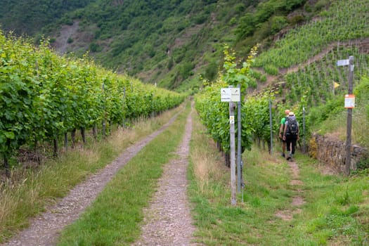 ERNST, GERMANY - JUNE 21, 2020: Long distance hiking trail Moselsteig with focus on the typical waymark on June 22, 2020 in Germany