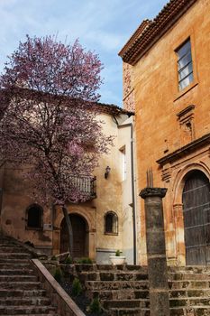 Beautiful pink cherry tree in bloom next to San Miguel Arcangel parish in Alcaraz in spring. Old and antique facades and stone stairs in foreground