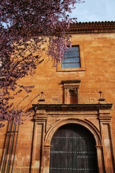 Beautiful pink cherry tree in bloom next to San Miguel Arcangel parish in Alcaraz in spring. Old and antique facades and stone stairs in foreground