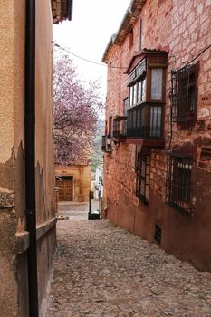 Beautiful pink cherry tree in bloom next to San Miguel Arcangel parish in Alcaraz in spring. Old and antique facades and stone stairs in foreground