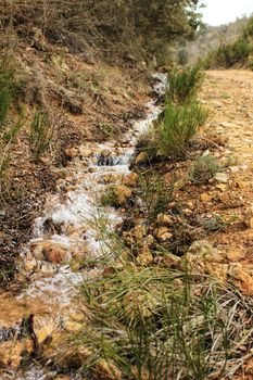 Creek between vegetation in the mountain in Spain
