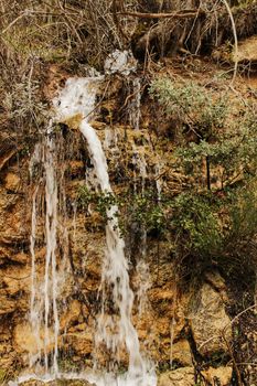 Waterfall in leafy forest in Spring