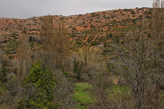 Mountain landscape with green vegetation in spring in Castilla la Mancha, Spain