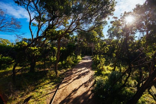 Cape Schanck Lighthouse Reserve on a cool clear winter's morning on the Mornington Peninsula in Victoria, Australia