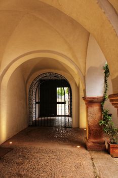 Courtyard of a typical house in Villanueva de los Infantes , Castilla la Mancha, Spain