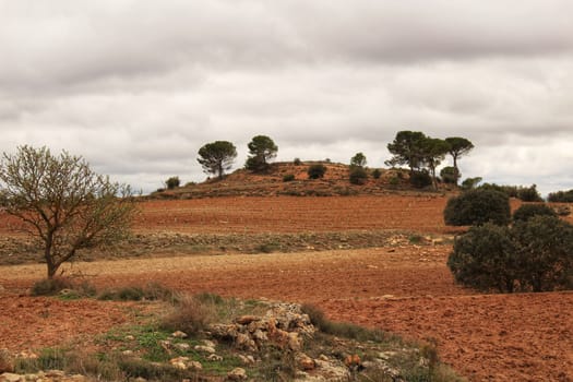 Landscape with cloudy sky and farm field in Castilla La Mancha, Spain