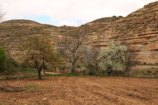 Landscape with cloudy sky and farm field in Castilla La Mancha, Spain