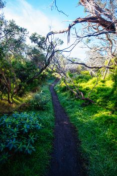 The start of the Two Bays Walking Track from near Cape Schanck Lighthouse on the Mornington Peninsula in Victoria, Australia