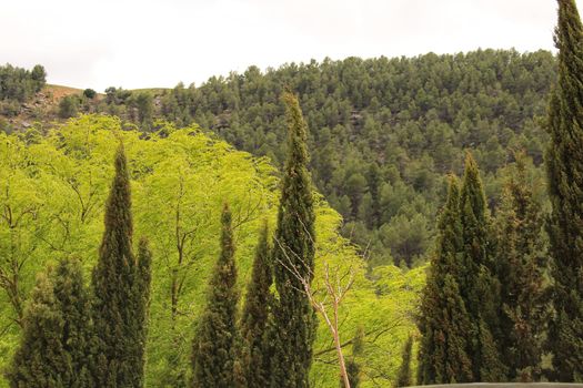 Landscape of the sierra of Utiel Requena in Valencia, Spain under cloudy sky in spring