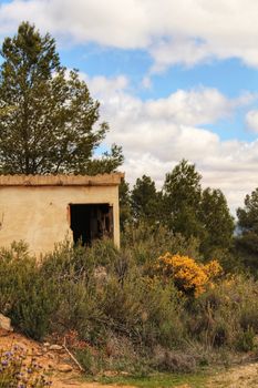 Stone house on the mountain surrounded by Yellow retama sphaerocarpa, wild rosmarinus officinalis and pines under cloudy sky