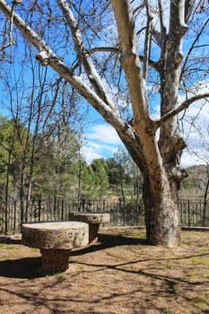 Stone tables next to a tree in a park in Spain