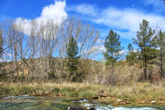 Cabriel River with crystal clear waters and surrounded by green vegetation in the mountains of Albacete, Spain