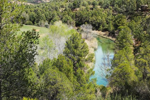 The River Jucar between vegetation and mountain landscape