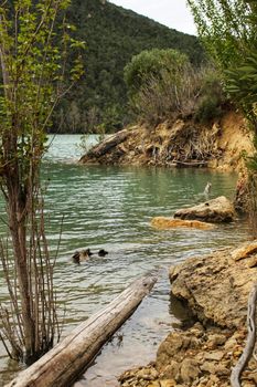 Swamp surrounded by mountains and colorful vegetation in El Molinar, Casas de Ves, Spain. Crystal Clear Waters of Cabriel River