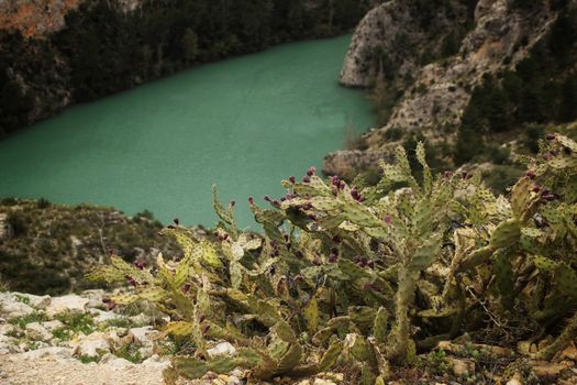 Swamp surrounded by mountains and colorful vegetation in El Molinar, Casas de Ves, Spain. Crystal Clear Waters of Cabriel River