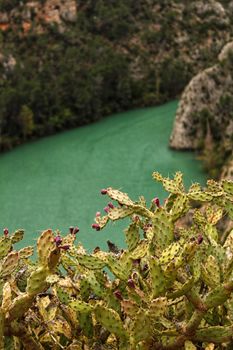 Swamp surrounded by mountains and colorful vegetation in El Molinar, Casas de Ves, Spain. Crystal Clear Waters of Cabriel River