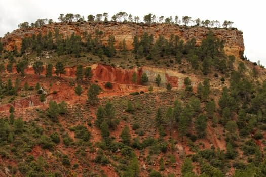 Mountains landscape with pines in the sierra de la Terrera, Castilla la Mancha, Spain