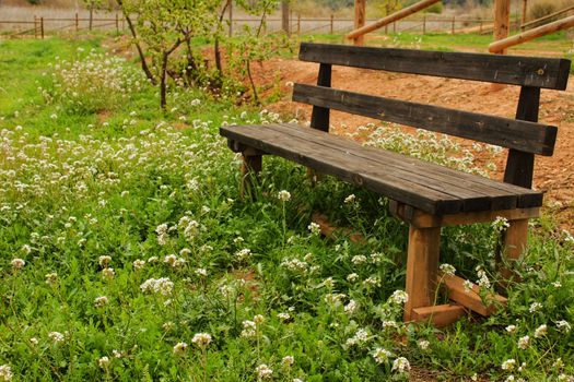 Wooden bench surrounded by vegetation and flowers in a park in a village of Spain