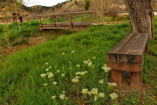 Wooden bench surrounded by vegetation and flowers in a park in a village of Spain