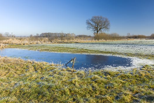 Frozen pond and frost on the meadow, trees on the horizon and blue sky, sunny winter view