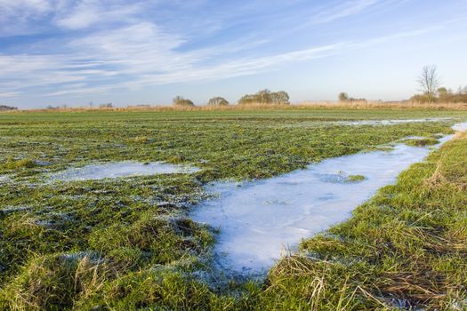 Frozen puddle on a green field with winter grain, white clouds on the sky