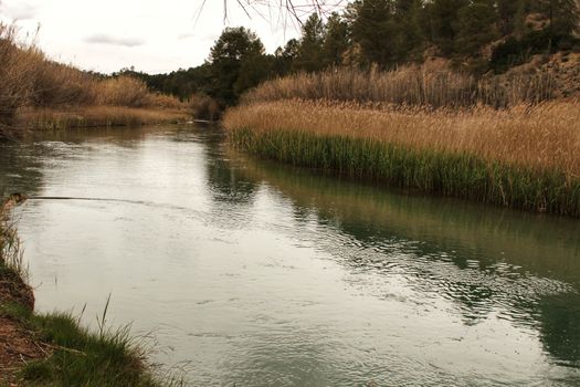 Cabriel River on its way through Casas del Rio village, Albacete, Spain. Landscape between cane field and mountains.