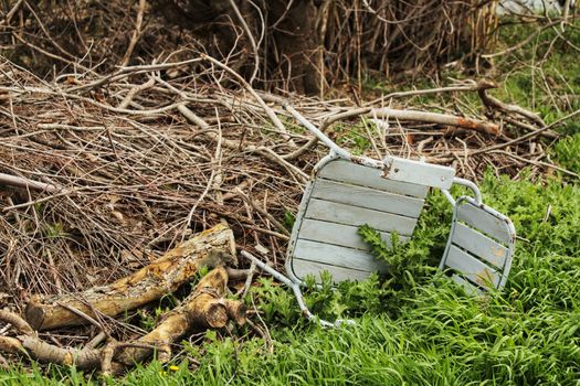 Abandoned chair in the forest and surrounded by greenery