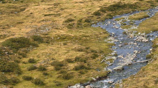 Aerial shot of a small river surrounded by greens. Camera is flying upstream 